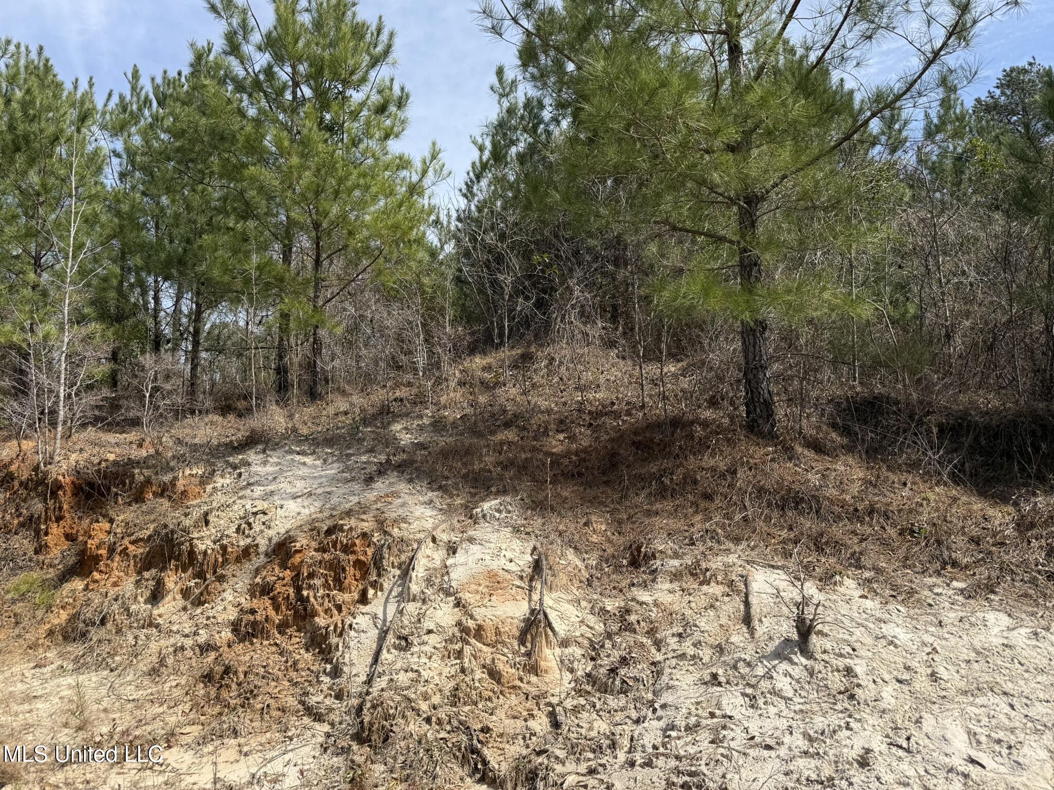 Clyde Evans Road Newton, MS 39345 - Photo 8 of 28 IMG_0505