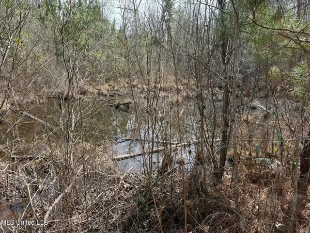 $179,900 | Clyde Evans Road, Newton, MS 39345