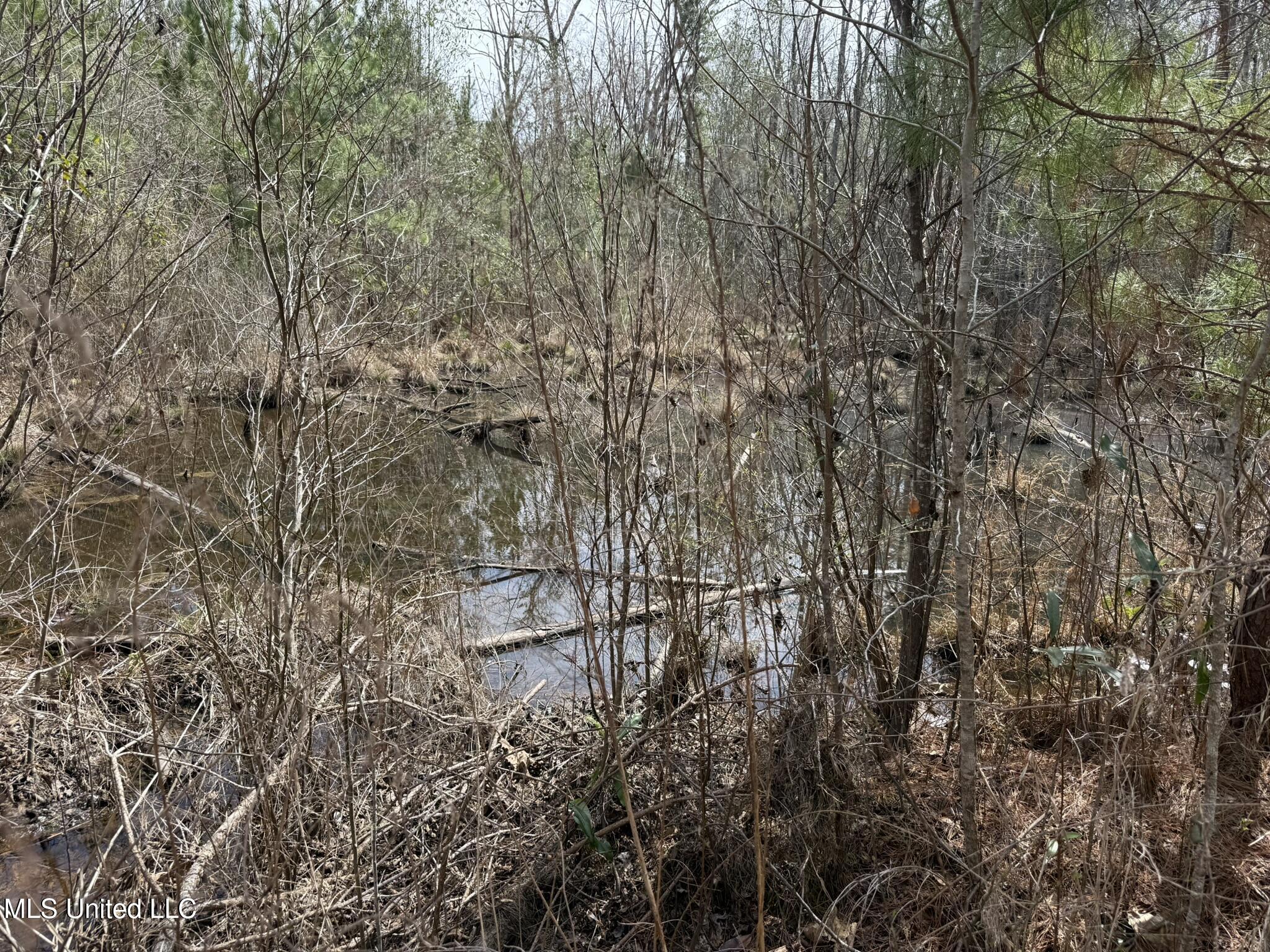 Clyde Evans Road Newton, MS 39345 - Photo 9 of 28 IMG_0492