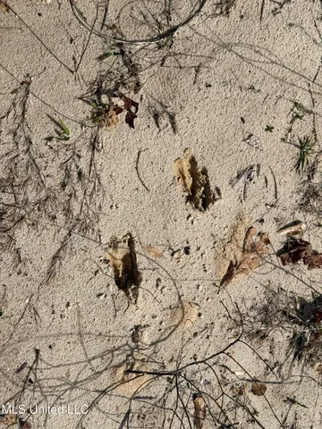 $179,900 | Clyde Evans Road, Newton, MS 39345