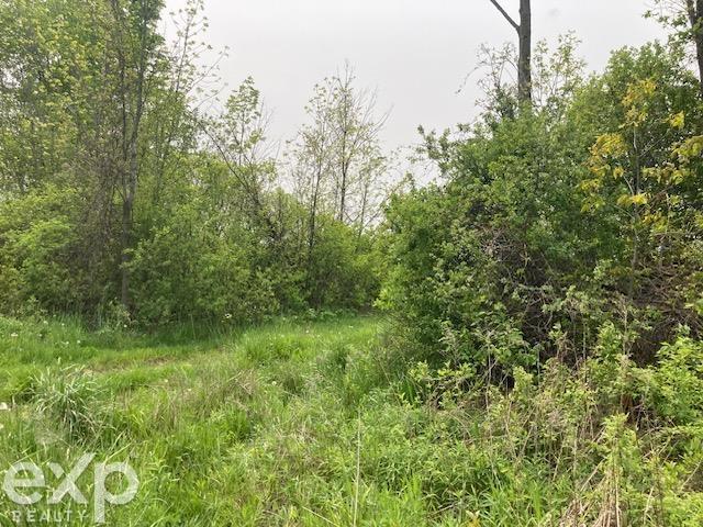 0 Walker Road North Street, MI 48049 - Photo 7 of 17