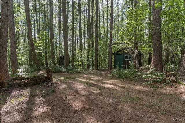 $125,000 | 3071 Seelman Truck Trail Road, West Turin, NY 13325