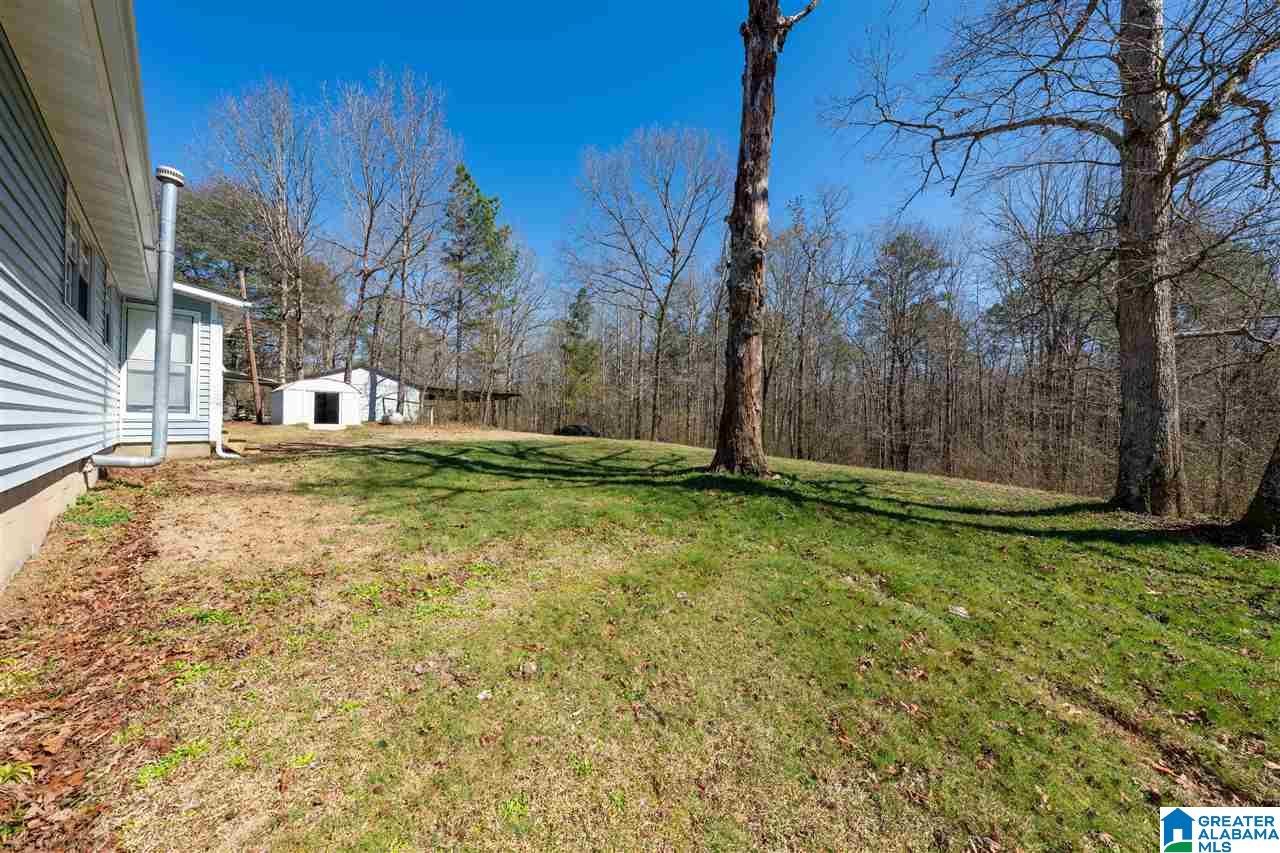 3134 Country Club Road Jasper, AL 35503 - Photo 24 of 24