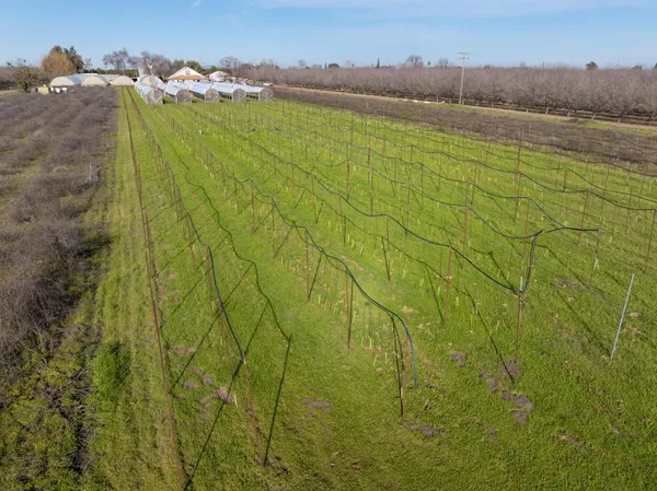 $1,800,000 | 32620 County Road 13, Zamora, CA 95698