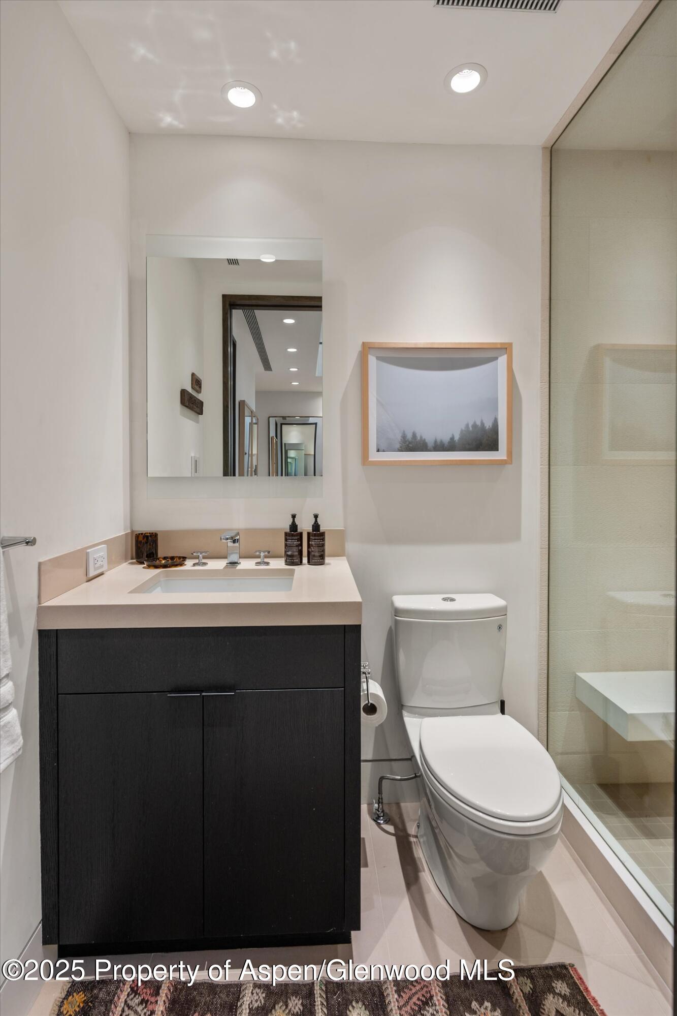 155 Lone Pine Road, Unit 12 Aspen, CO 81611 - Photo 16 of 37 a bathroom with a toilet a sink and mirror