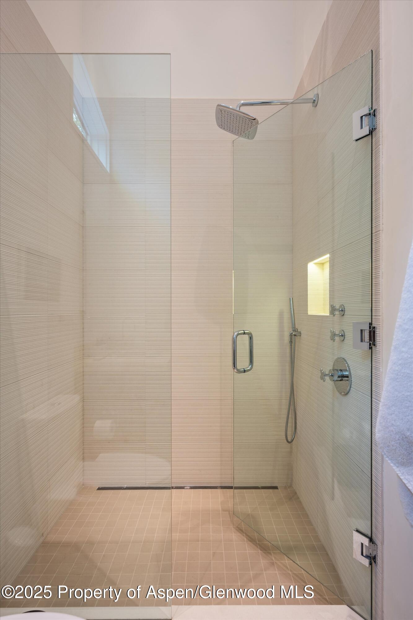 155 Lone Pine Road, Unit 12 Aspen, CO 81611 - Photo 17 of 37 Downstairs Shower