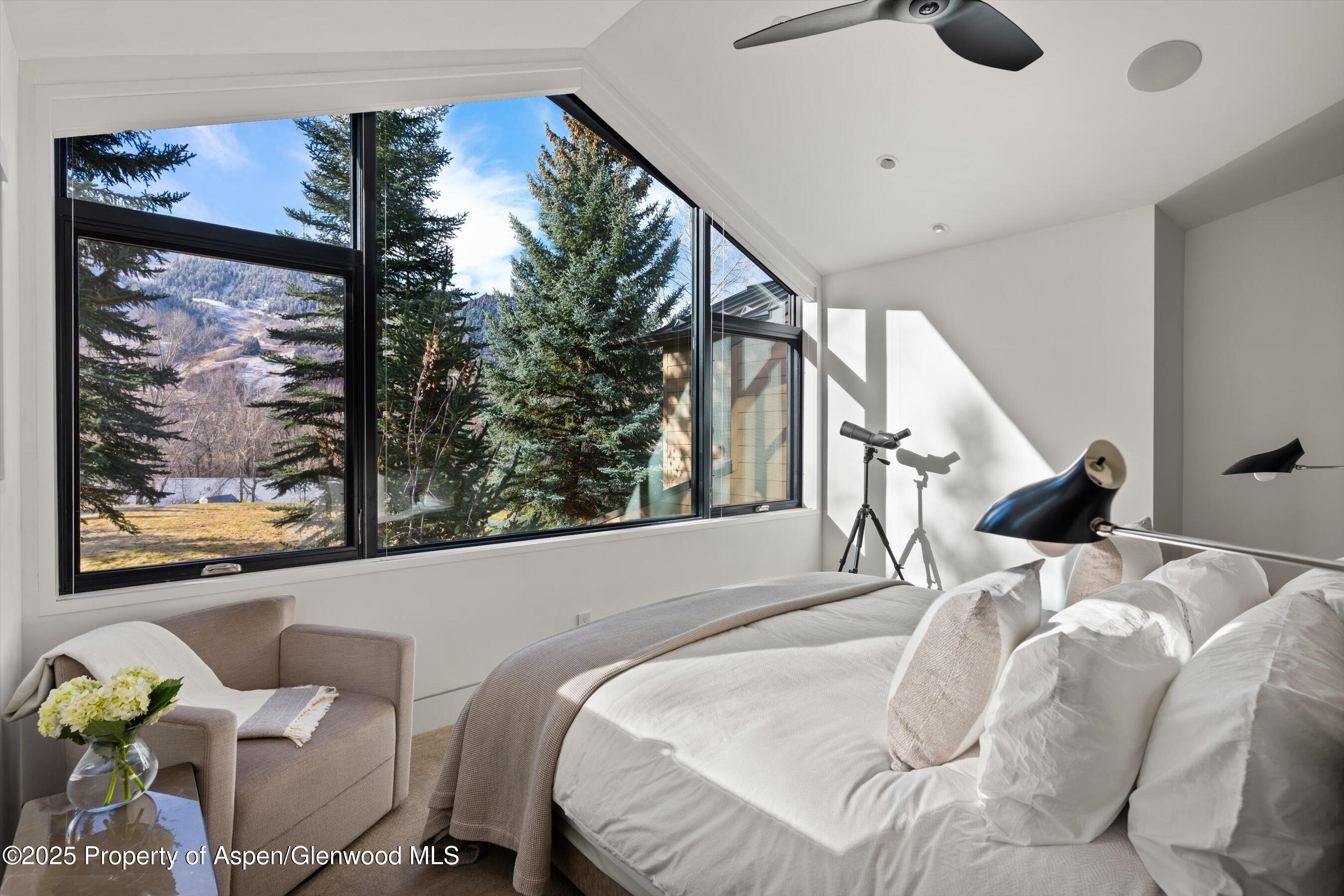 155 Lone Pine Road, Unit 12 Aspen, CO 81611 - Photo 24 of 37 a bedroom with furniture and a large window