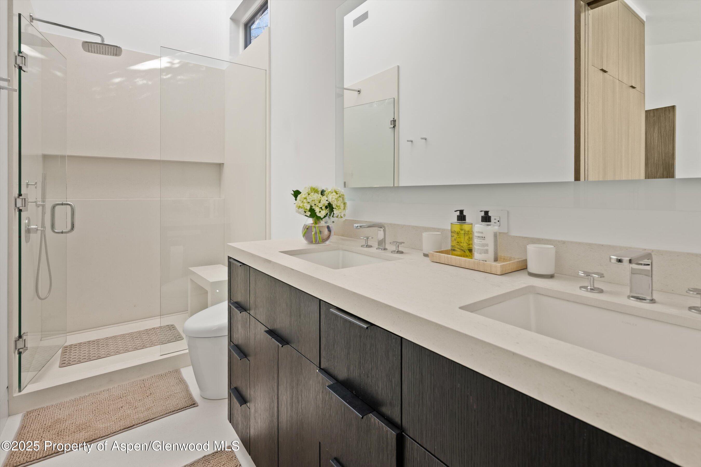 155 Lone Pine Road, Unit 12 Aspen, CO 81611 - Photo 25 of 37 a bathroom with a sink a toilet and shower