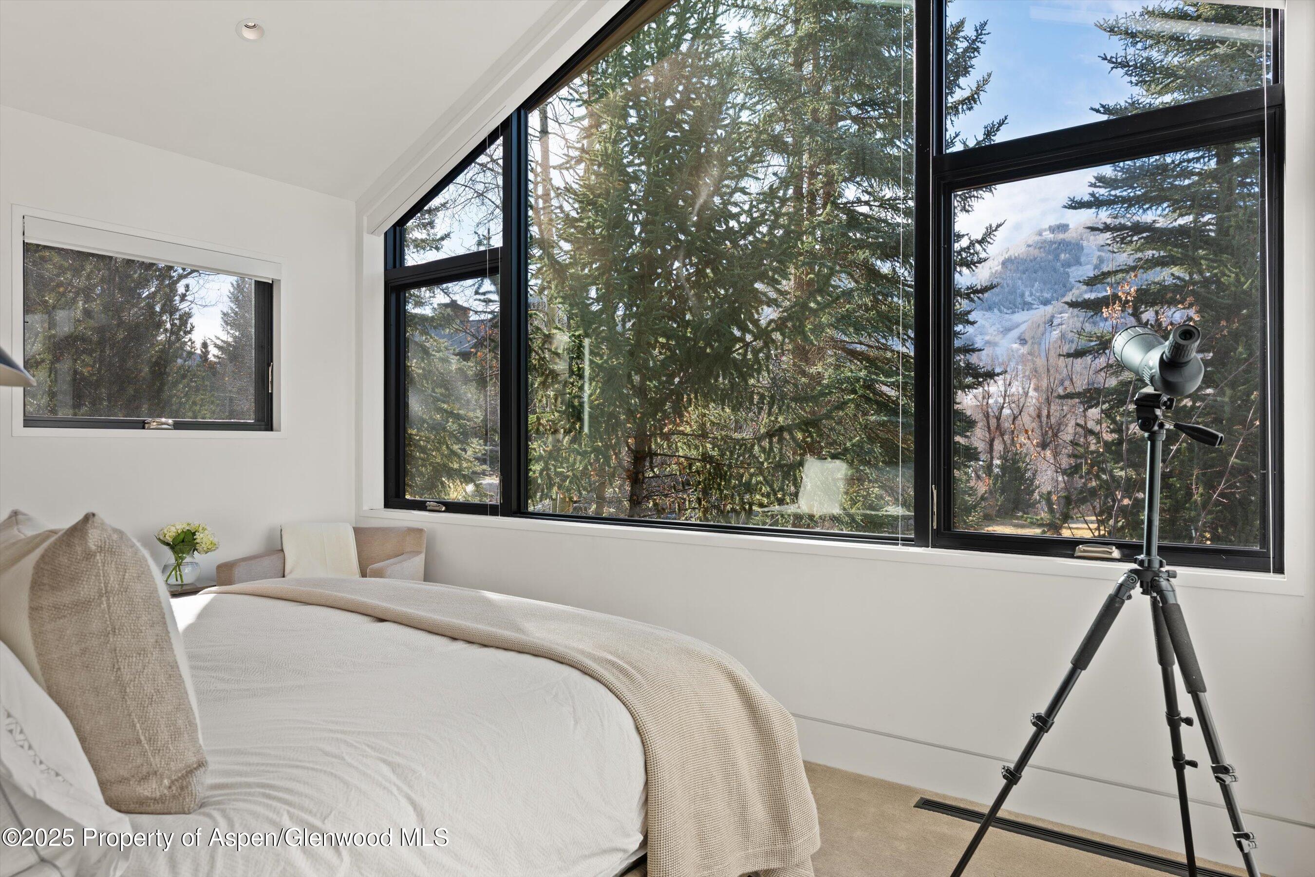 155 Lone Pine Road, Unit 12 Aspen, CO 81611 - Photo 25 of 37 a bedroom with a large window and a bed