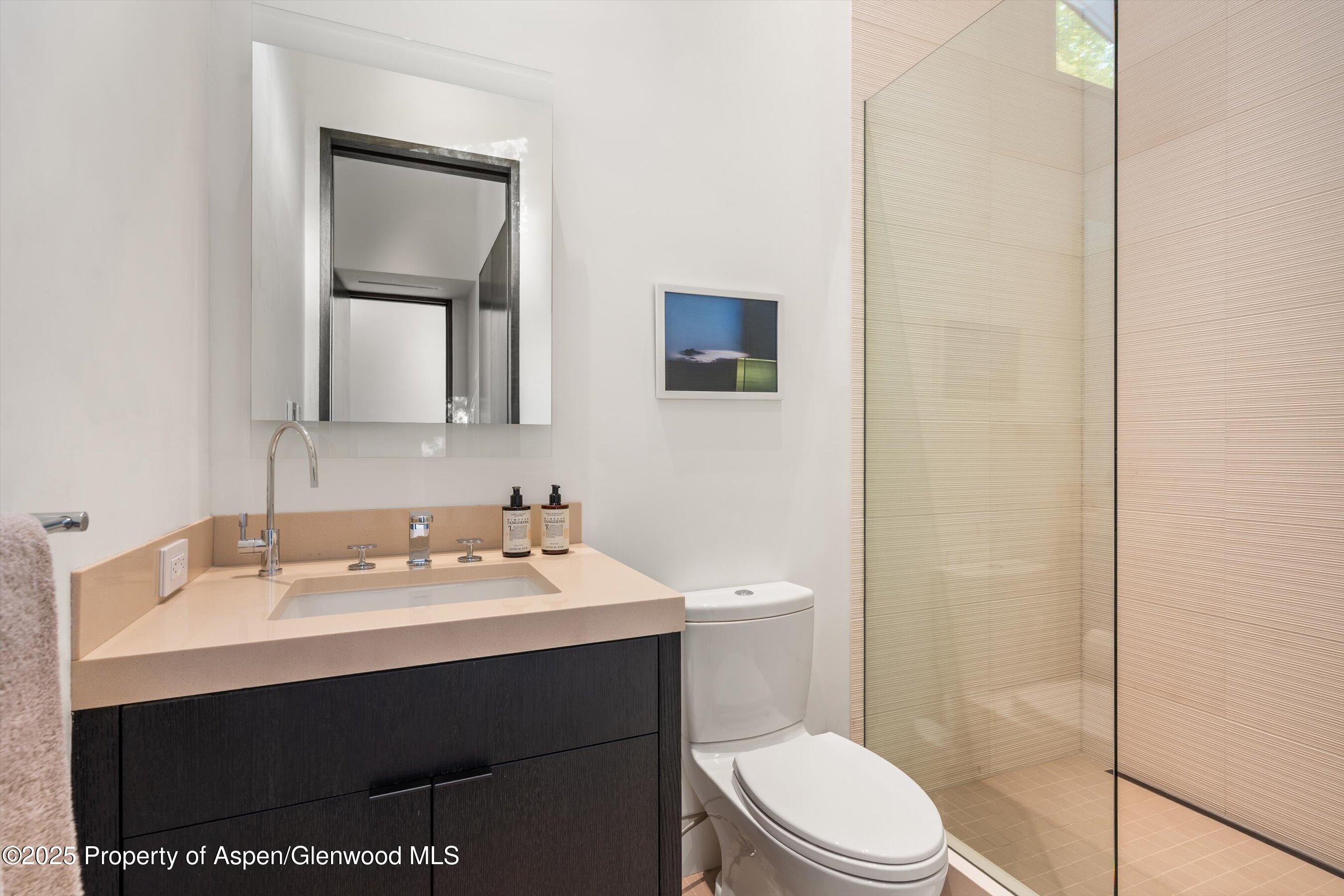 155 Lone Pine Road, Unit 12 Aspen, CO 81611 - Photo 29 of 37 a bathroom with a sink mirror vanity and toilet