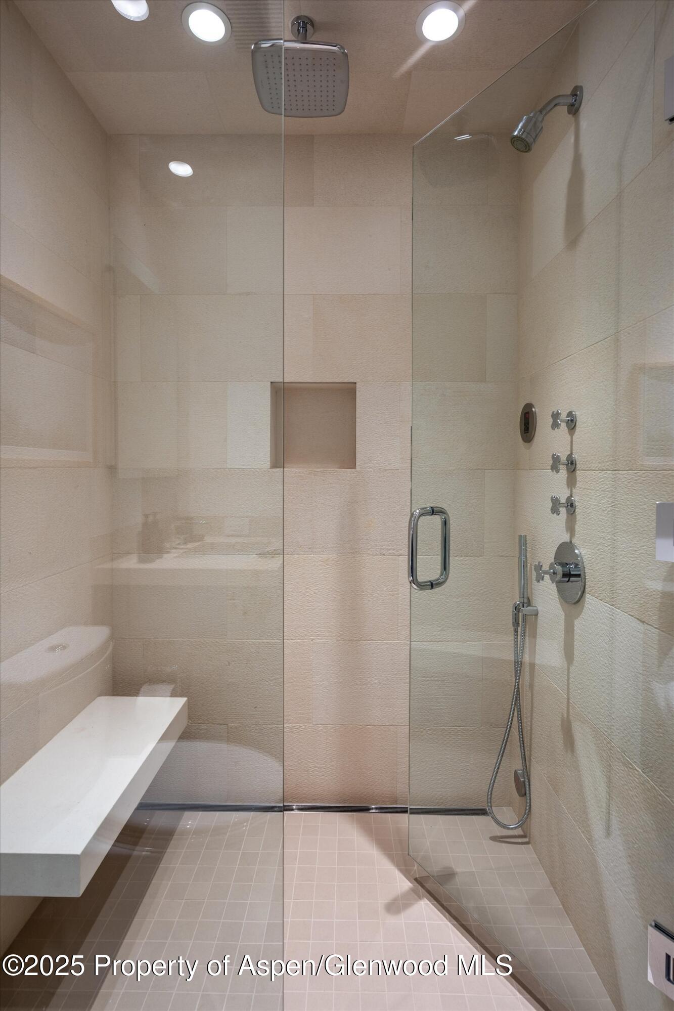 155 Lone Pine Road, Unit 12 Aspen, CO 81611 - Photo 29 of 37 a bathroom with a shower