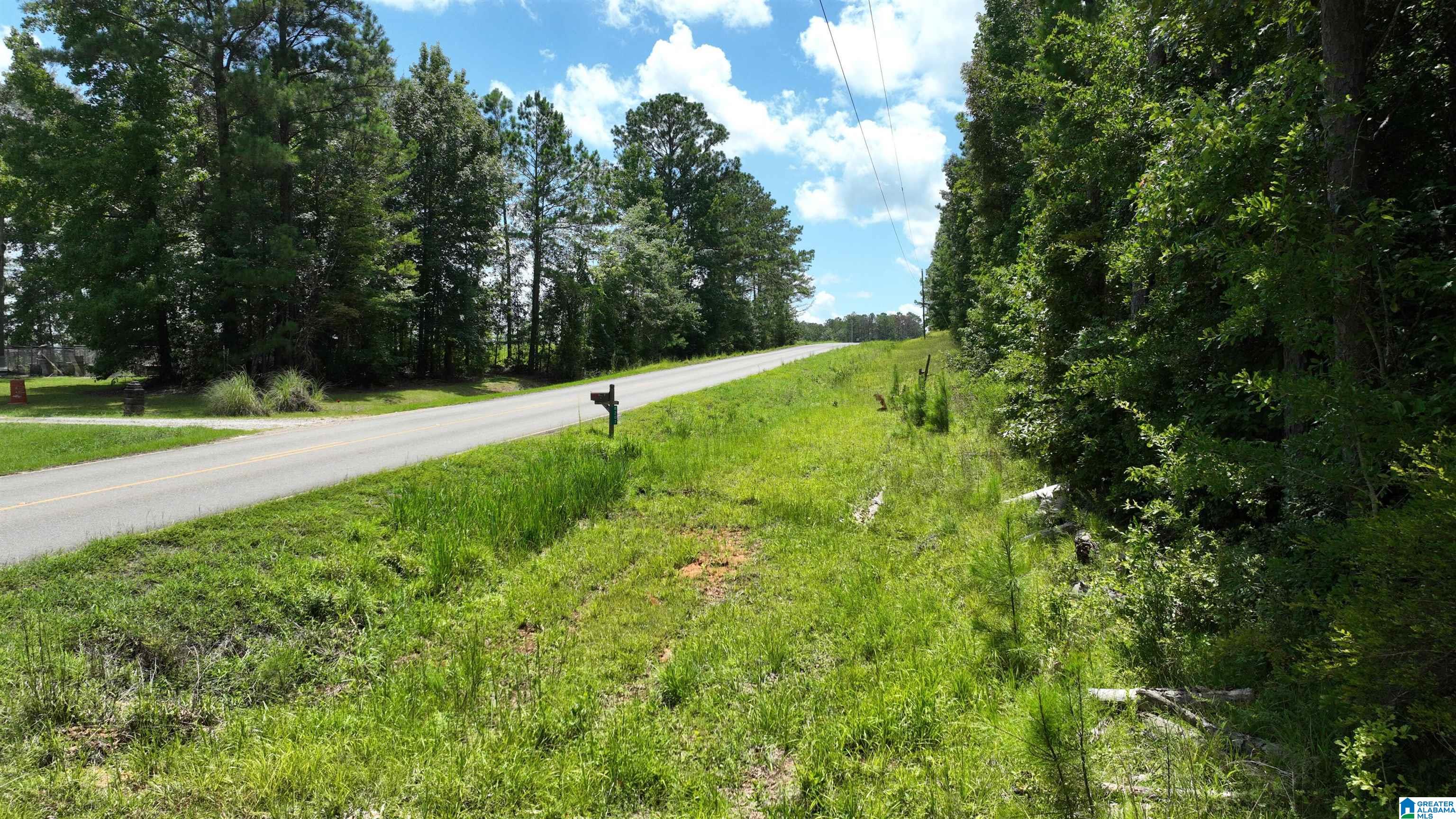 0 South Shackleville Road Georgiana, AL 36033 - Photo 8 of 22