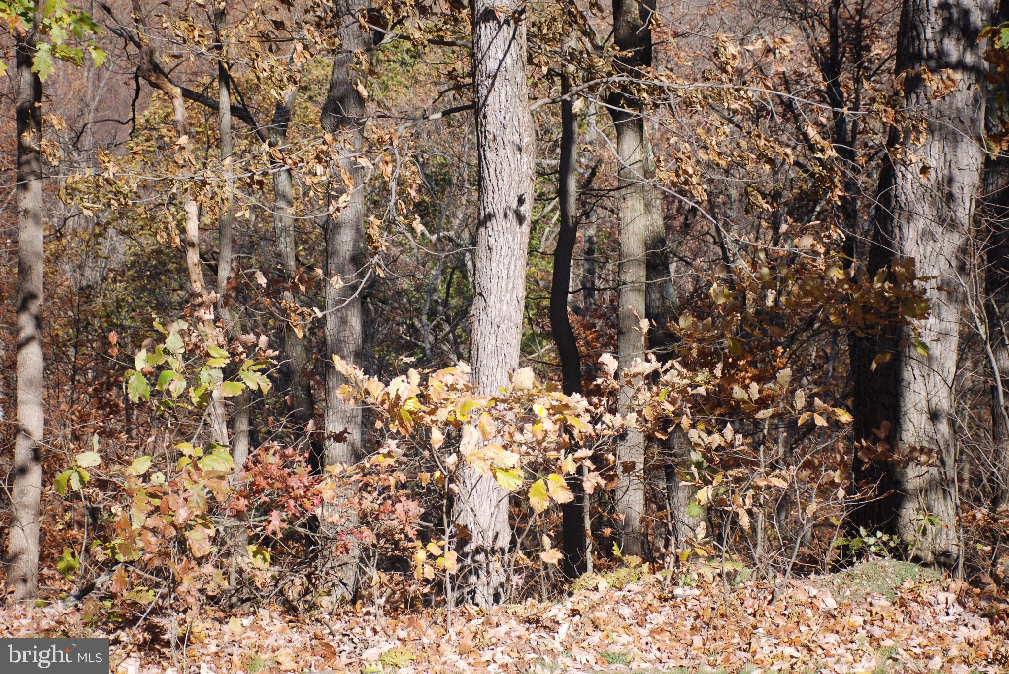 Lot 6 Greenbriar Road New Bloomfield, PA 17068 - Photo 1 of 1 Gallery Image 1
