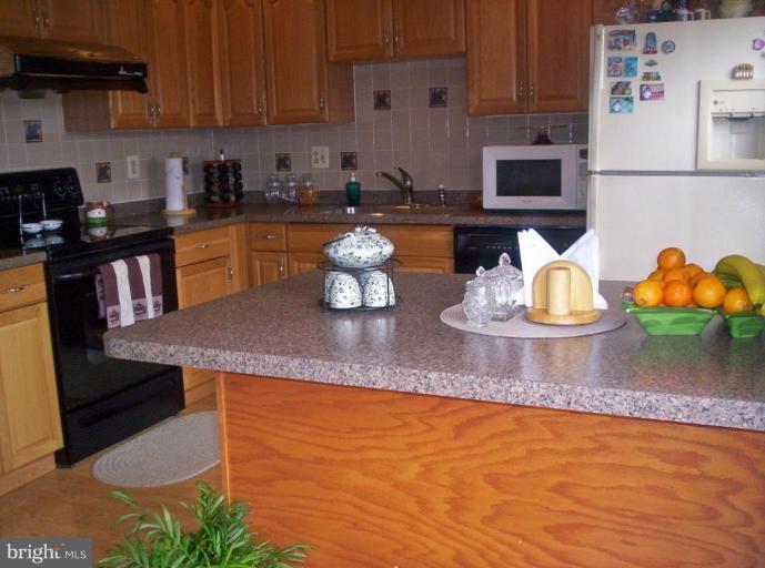 8689 Ridge Road Ellicott City, MD 21043 - Photo 9 of 20 Kitchen #2