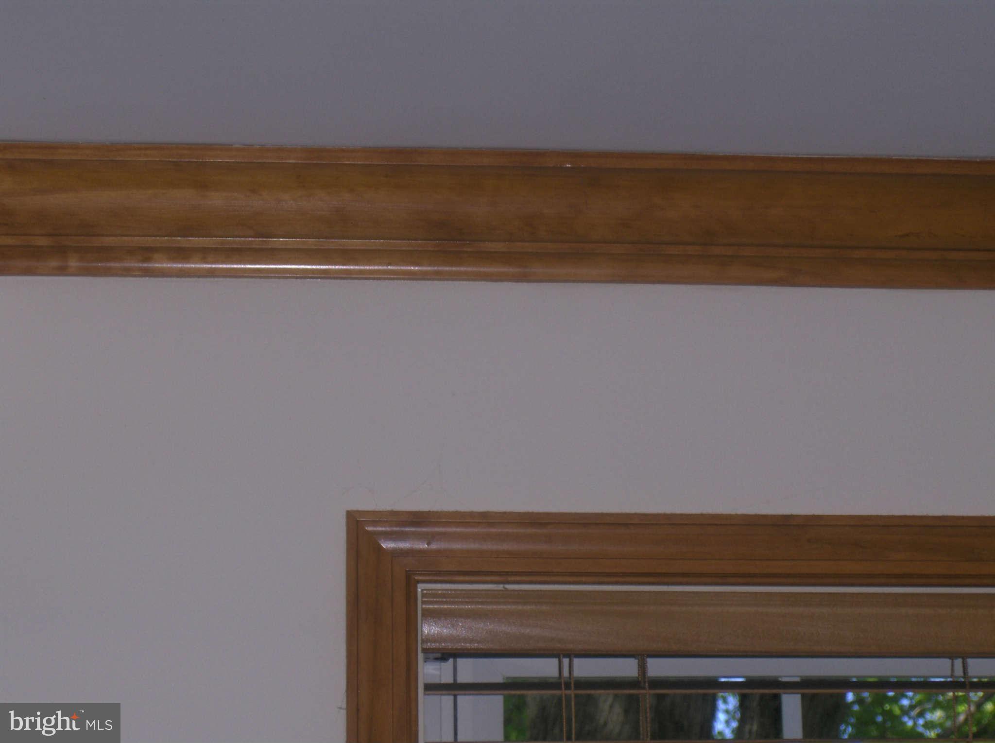 907 Forrester Road Churchton, MD 20733 - Photo 21 of 21 Interior (General)