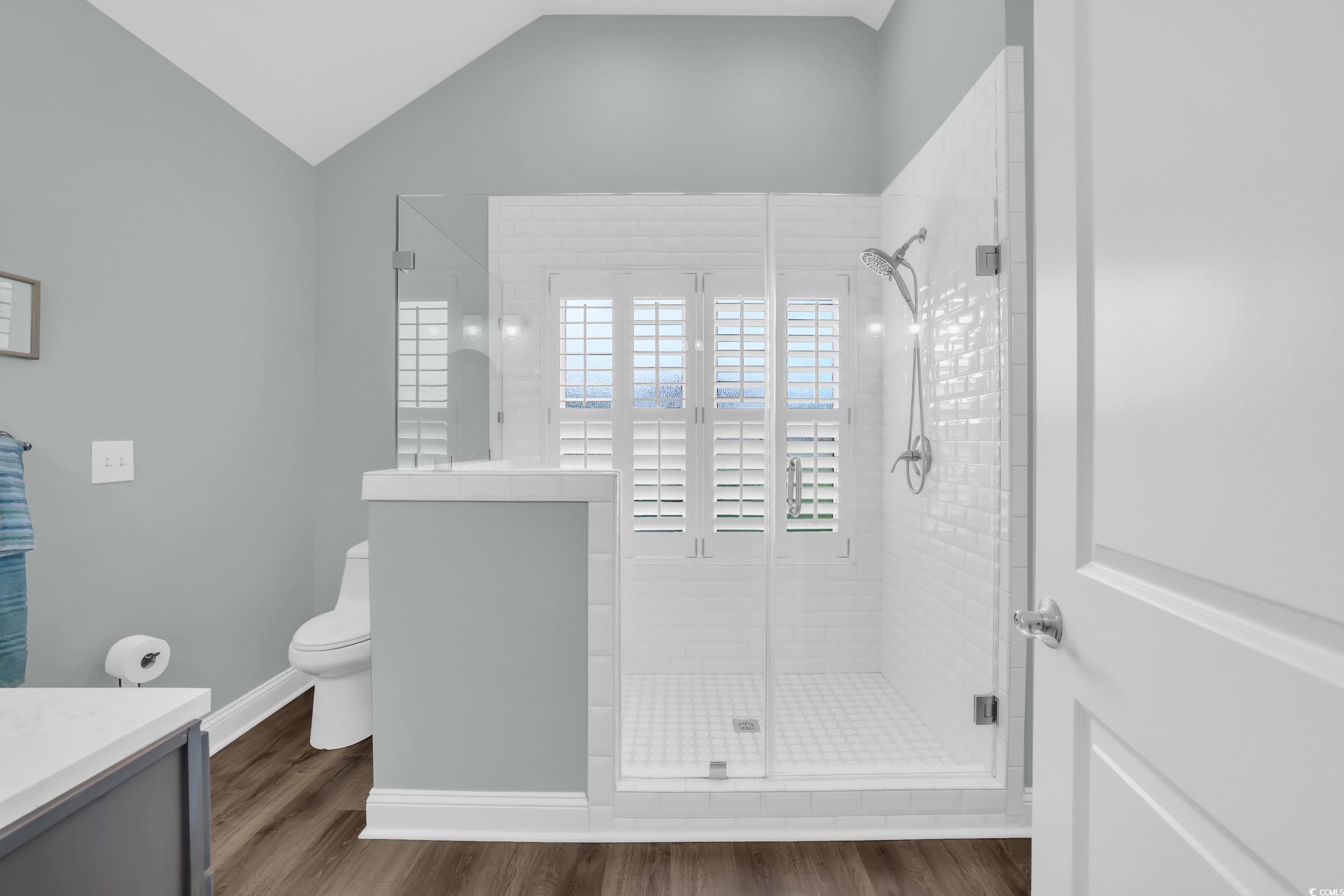 442 Deer Watch Circle Longs, SC 29568 - Photo 19 of 40 Full bath featuring vanity, a shower stall, dark wood-type flooring, and vaulted ceiling