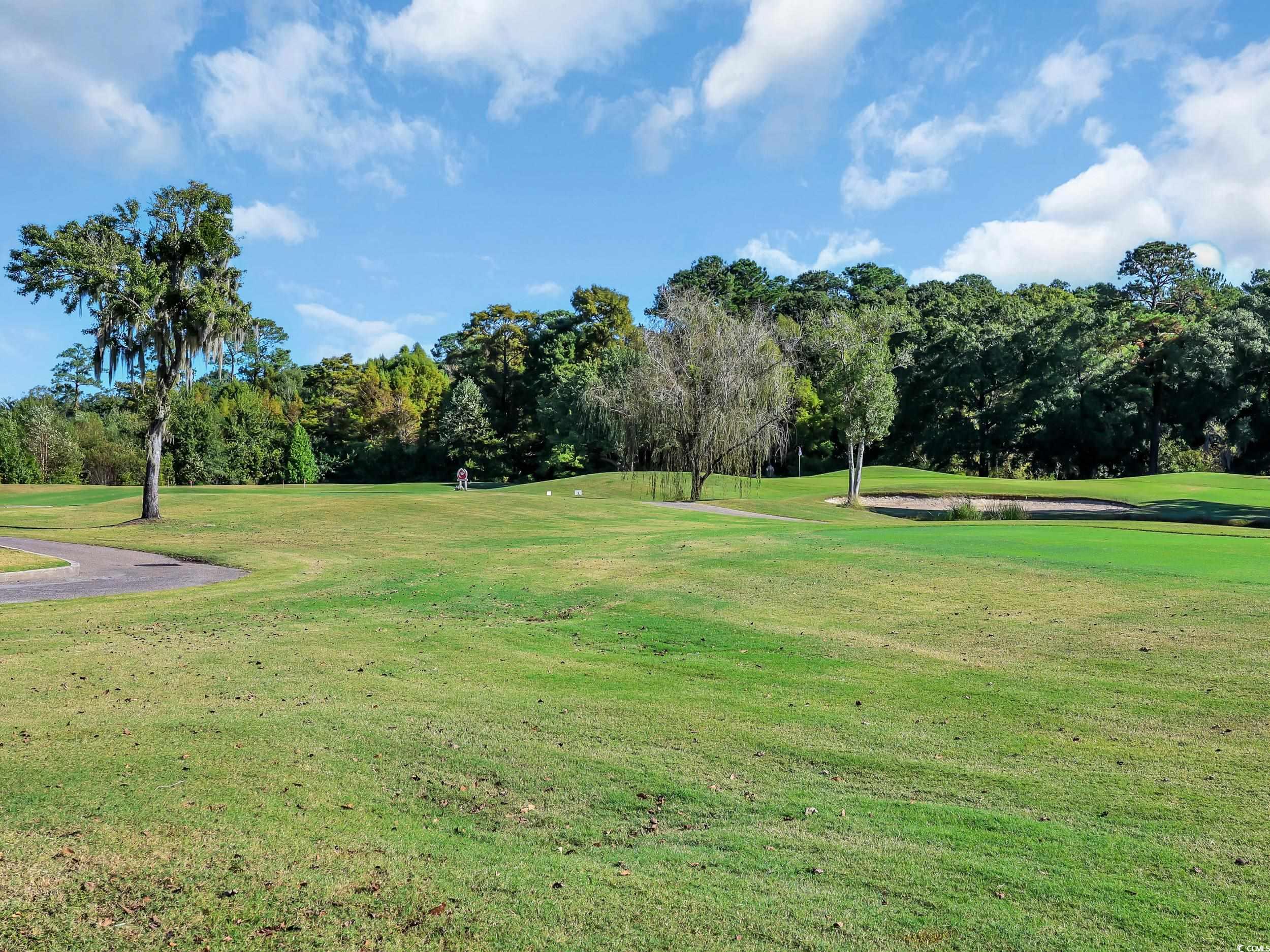 442 Deer Watch Circle Longs, SC 29568 - Photo 36 of 40 Surrounding community featuring view of wooded area, a lawn, and view of golf course