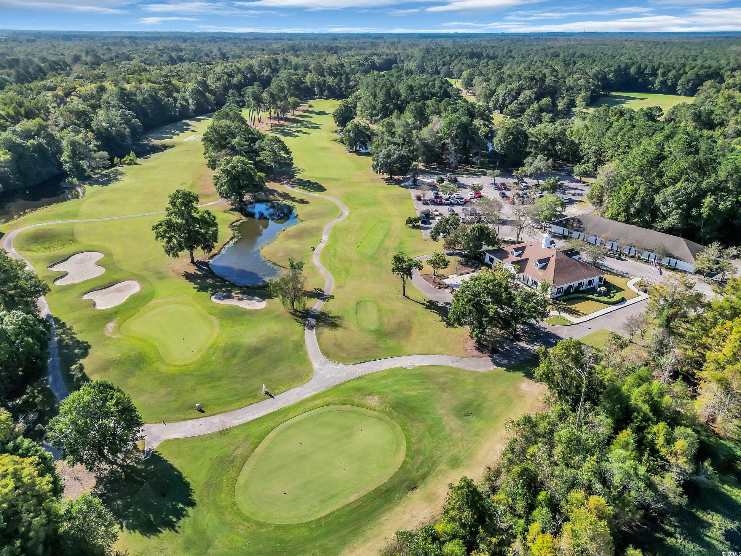 442 Deer Watch Circle Longs, SC 29568 - Photo 38 of 40 Aerial overview of property's location with a heavily wooded area and a nearby body of water