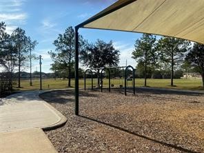 8310 Rose Petals Lane Rosharon, TX 77583 - Photo 28 of 33