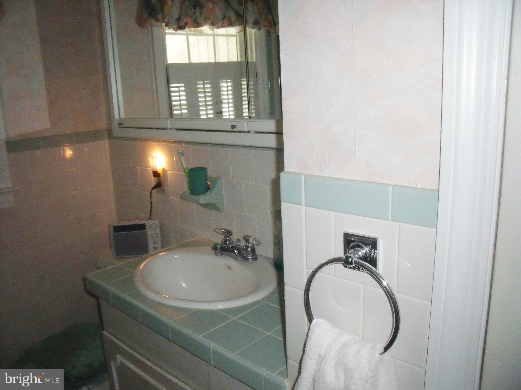 1209 Orems Road Baltimore, MD 21220 - Photo 20 of 29 a bathroom with a sink and a mirror