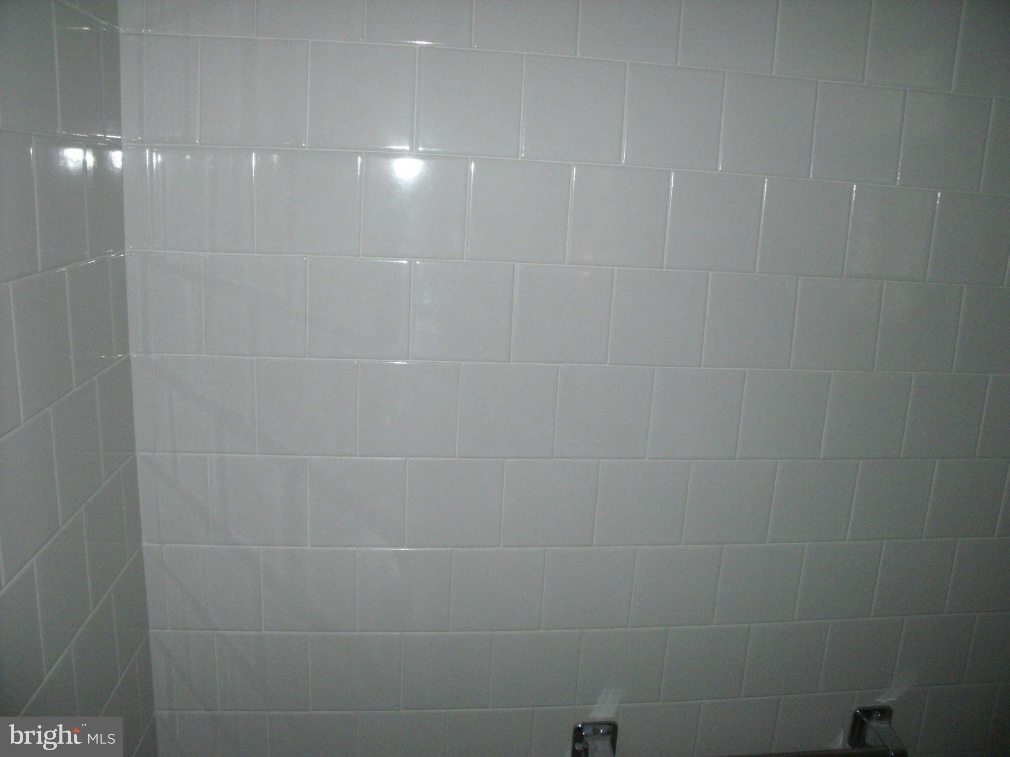 1209 Orems Road Baltimore, MD 21220 - Photo 21 of 29 a bathroom with a shower