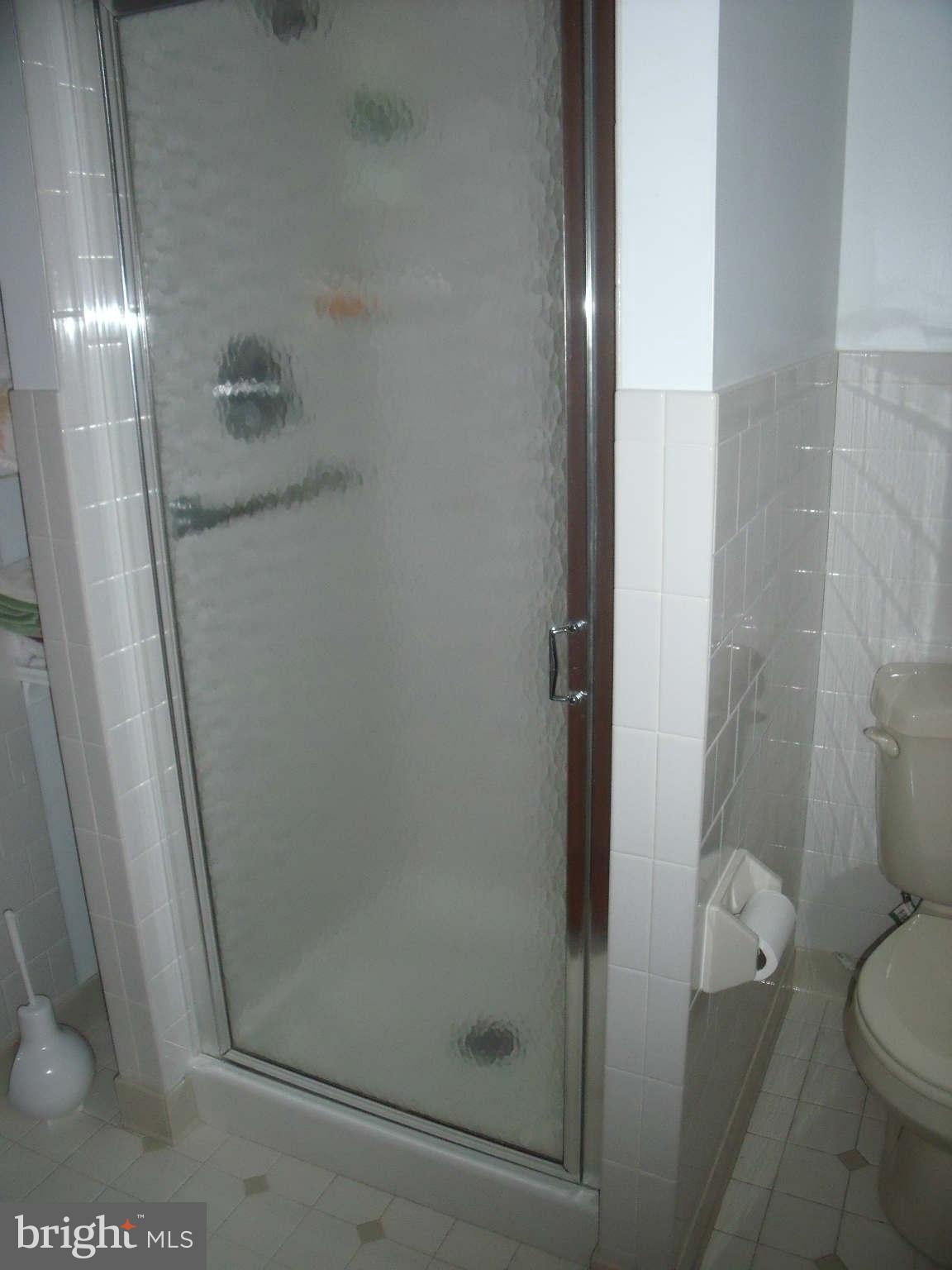 1209 Orems Road Baltimore, MD 21220 - Photo 28 of 29 a bathroom with a shower and toilet