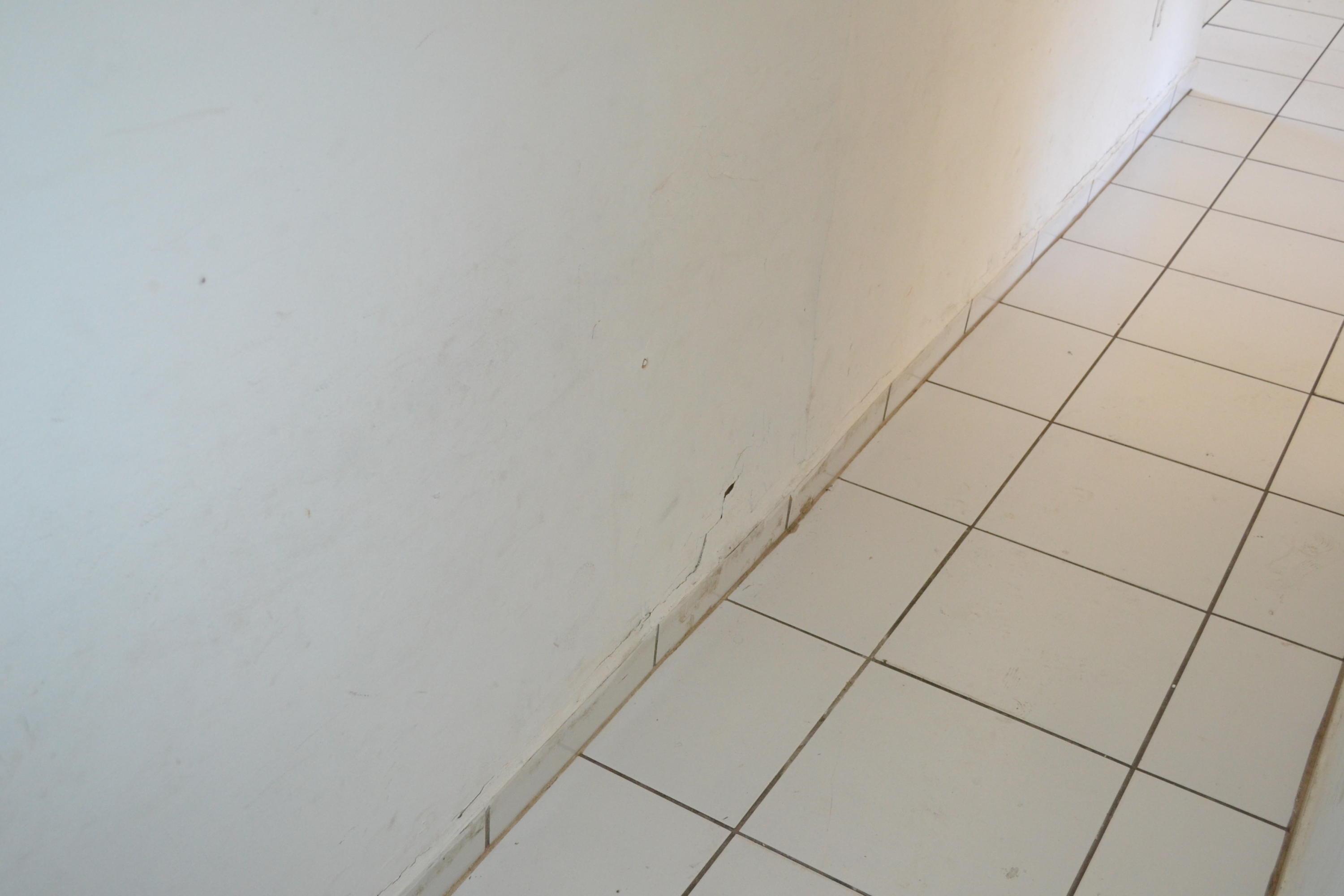 30734 Southwest 153rd Court Homestead, FL 33033 - Photo 19 of 25 DSC_1004
