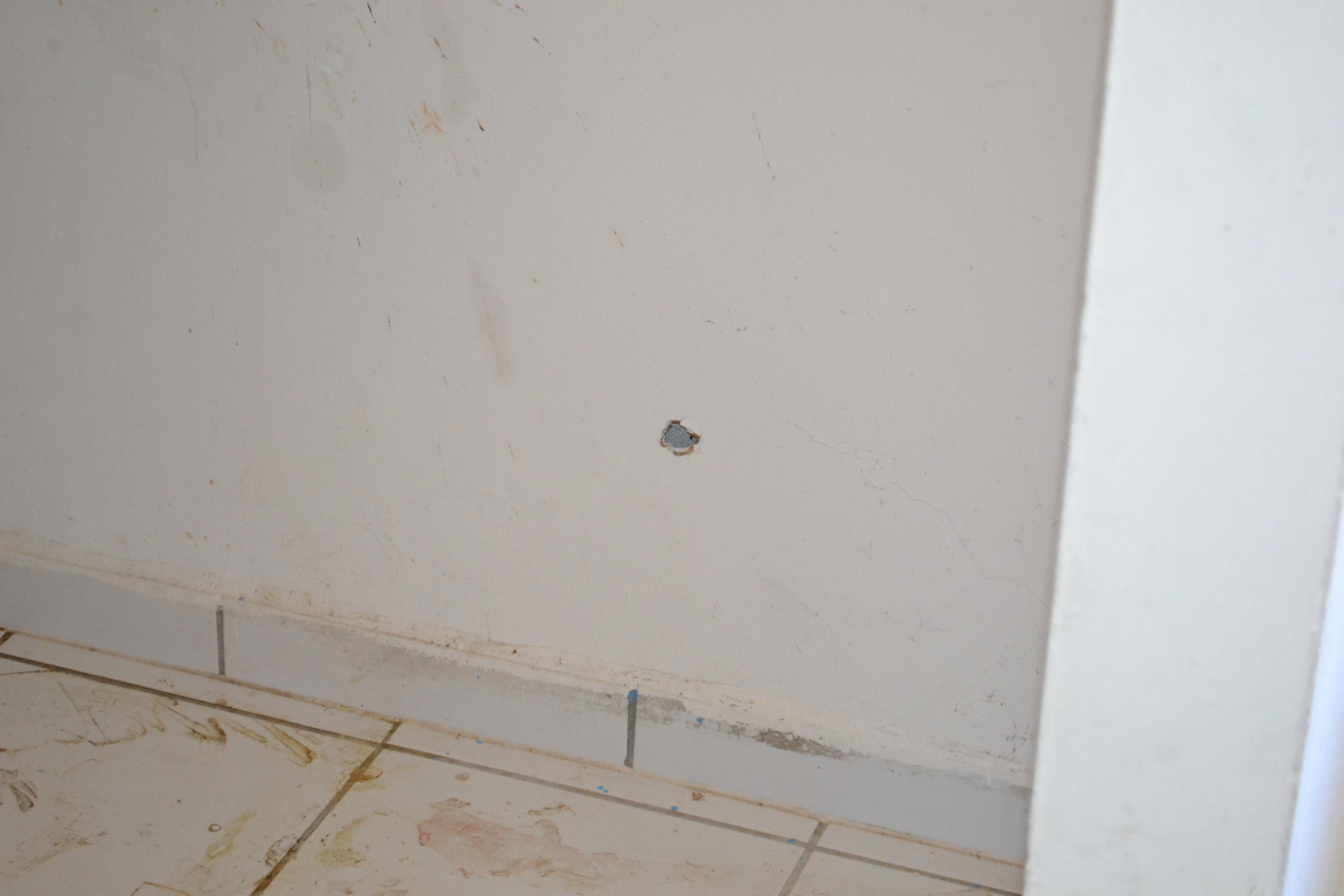 30734 Southwest 153rd Court Homestead, FL 33033 - Photo 20 of 25 DSC_1003