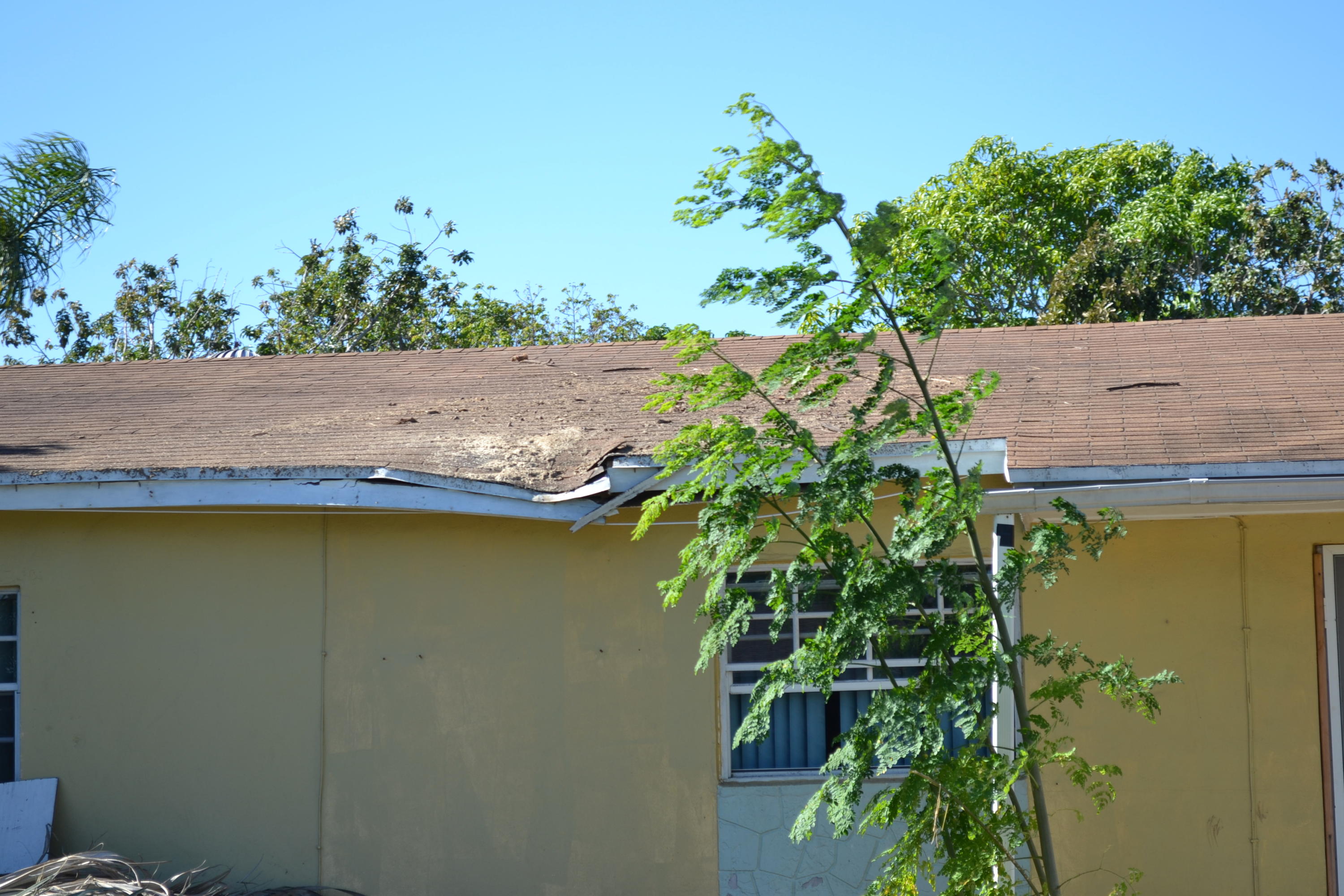 30734 Southwest 153rd Court Homestead, FL 33033 - Photo 2 of 25 DSC_1040