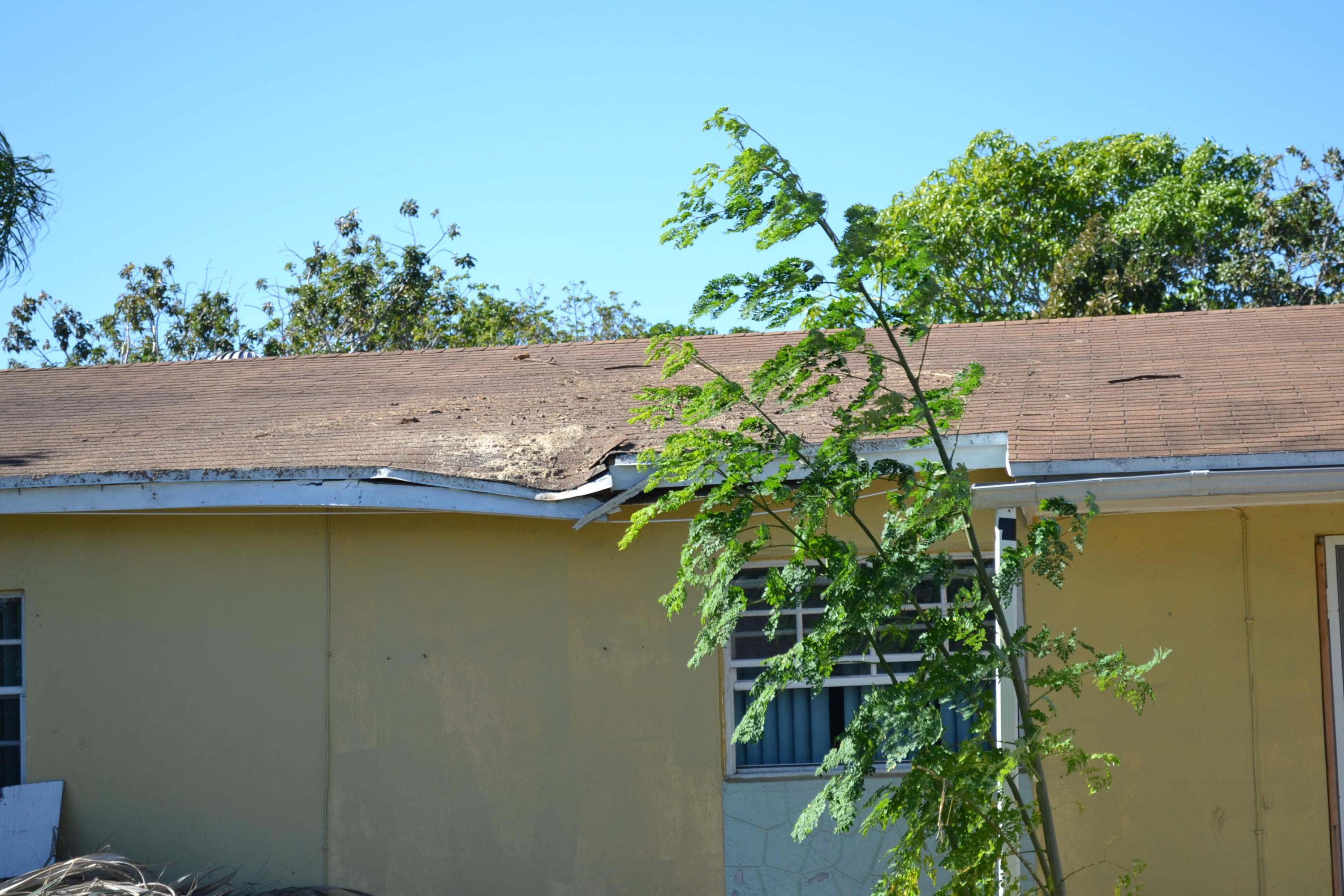 30734 Southwest 153rd Court Homestead, FL 33033 - Photo 3 of 25 DSC_1041