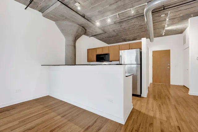 $274,999 | 1151 West 14th Place, Unit 209, Chicago, IL 60608