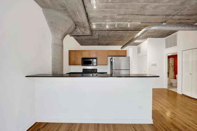 $274,999 | 1151 West 14th Place, Unit 209, Chicago, IL 60608
