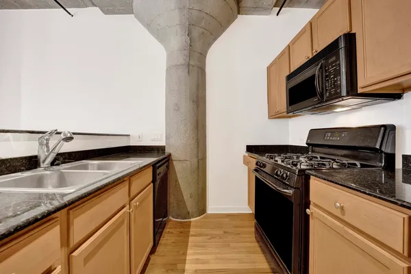 $274,999 | 1151 West 14th Place, Unit 209, Chicago, IL 60608