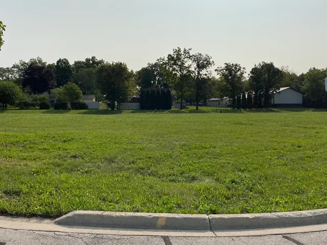a view of grassy field with trees