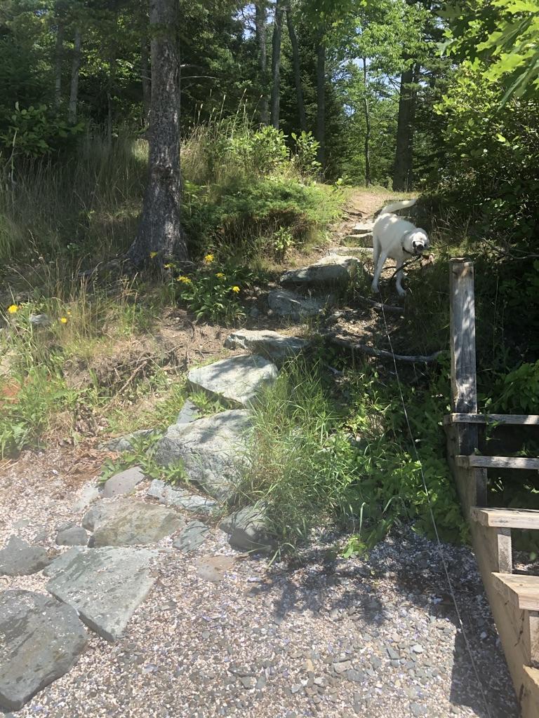 203 Dow Road Deer Isle, ME 04627 - Photo 5 of 28 Your Trail to the Shore