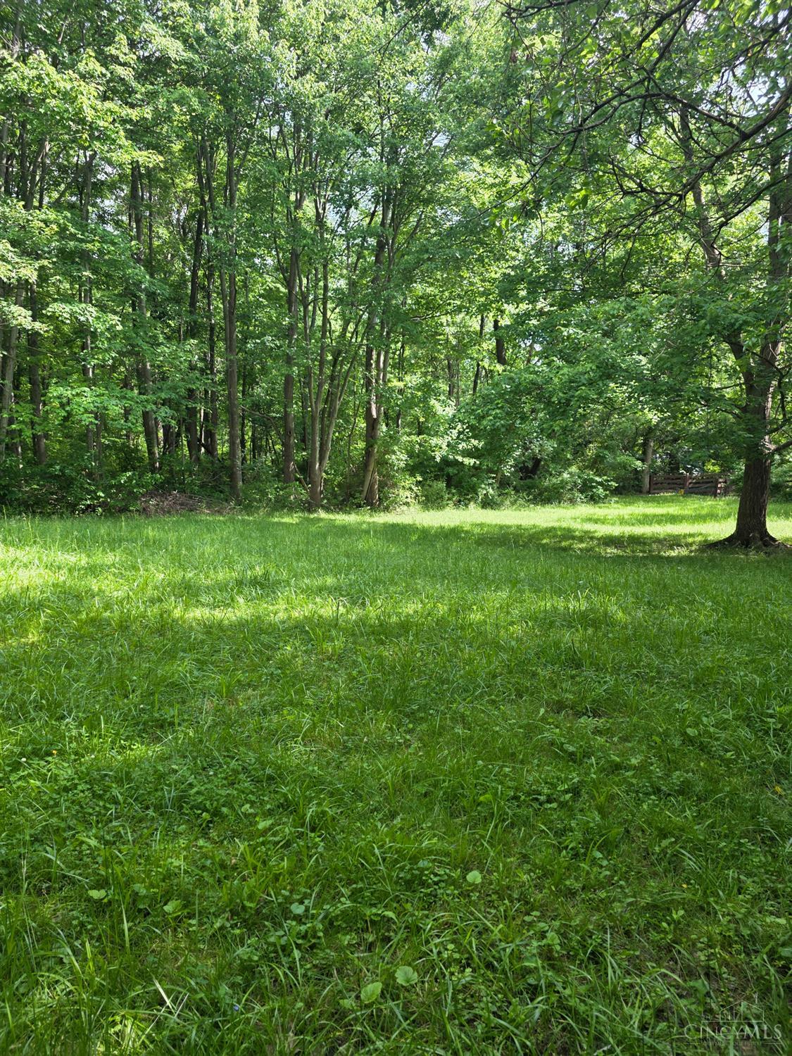 0 Fagins Run Road New Richmond, OH 45157 - Photo 4 of 28