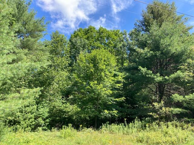 0 Libby Road West Newfield, ME 04095 - Photo 2 of 11 IMG_4754