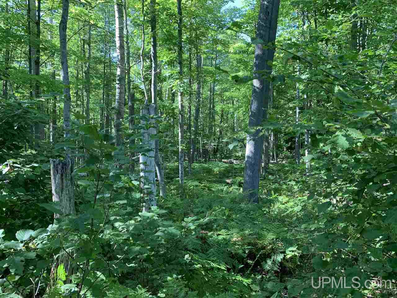6 Indian Cemetery Road Lanse, MI 49946 - Photo 13 of 16