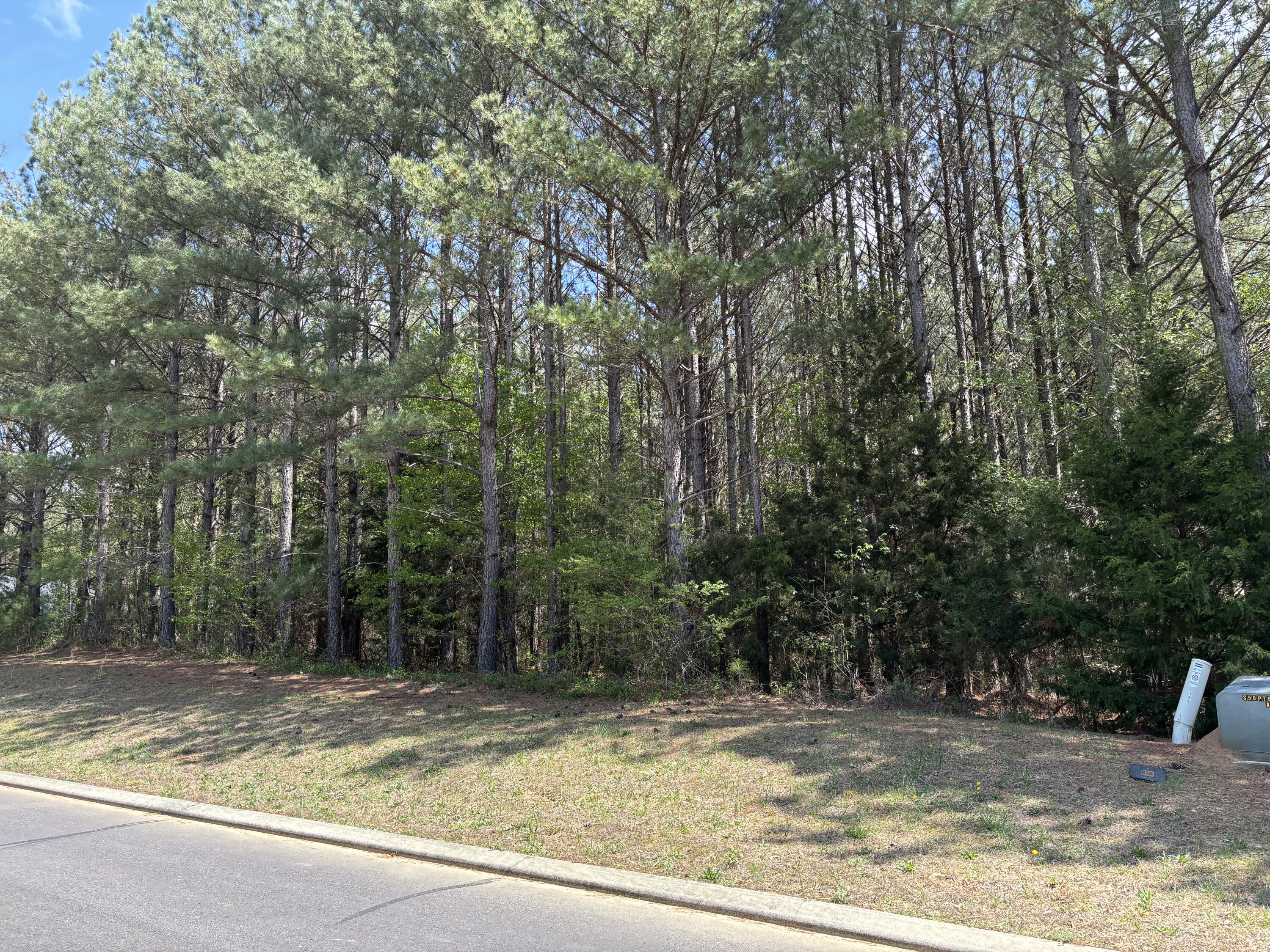 333 Mountain View Circle Ocoee, TN 37361 - Photo 1 of 3 IMG_3674