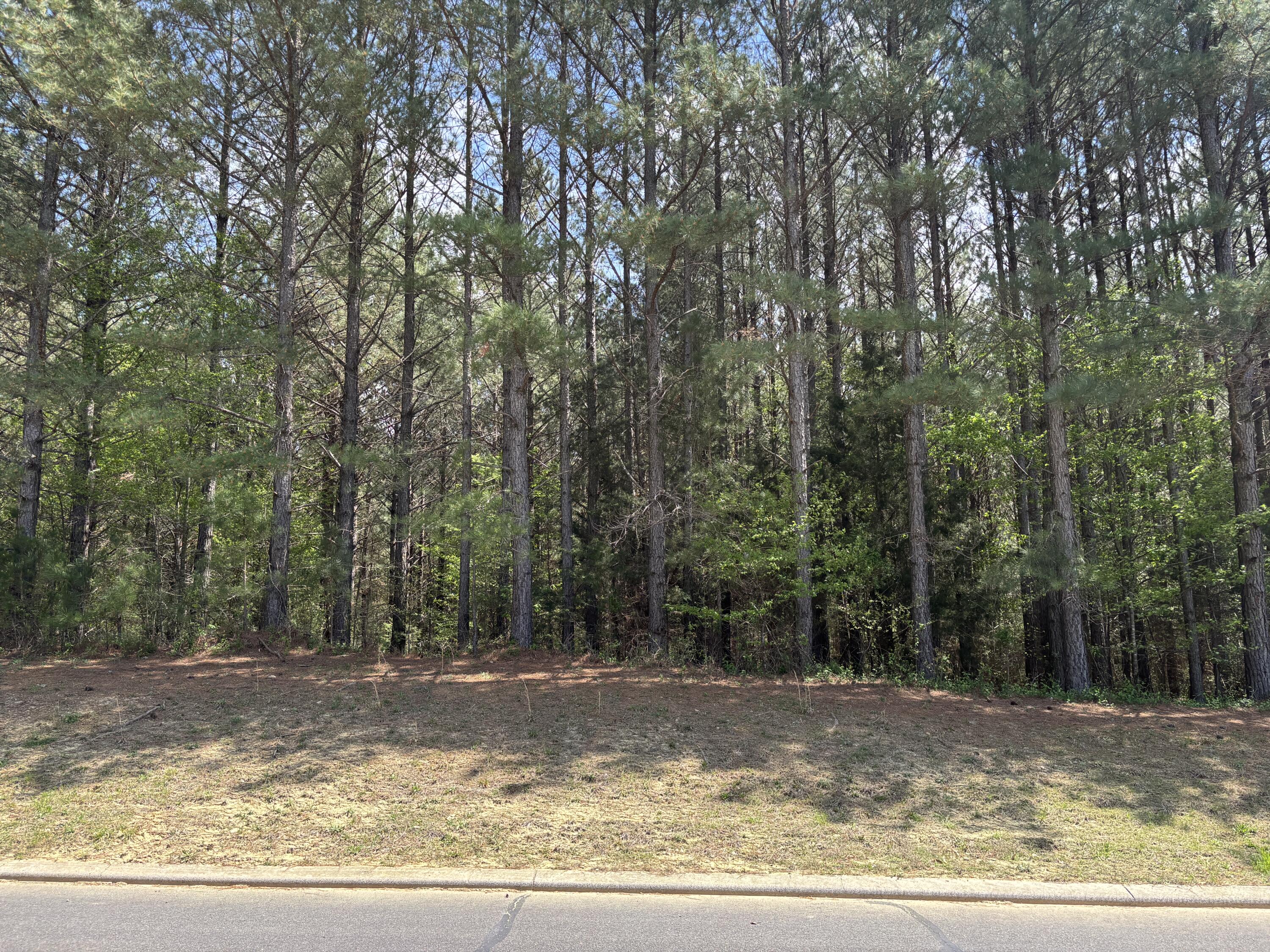 333 Mountain View Circle Ocoee, TN 37361 - Photo 2 of 3 IMG_3673