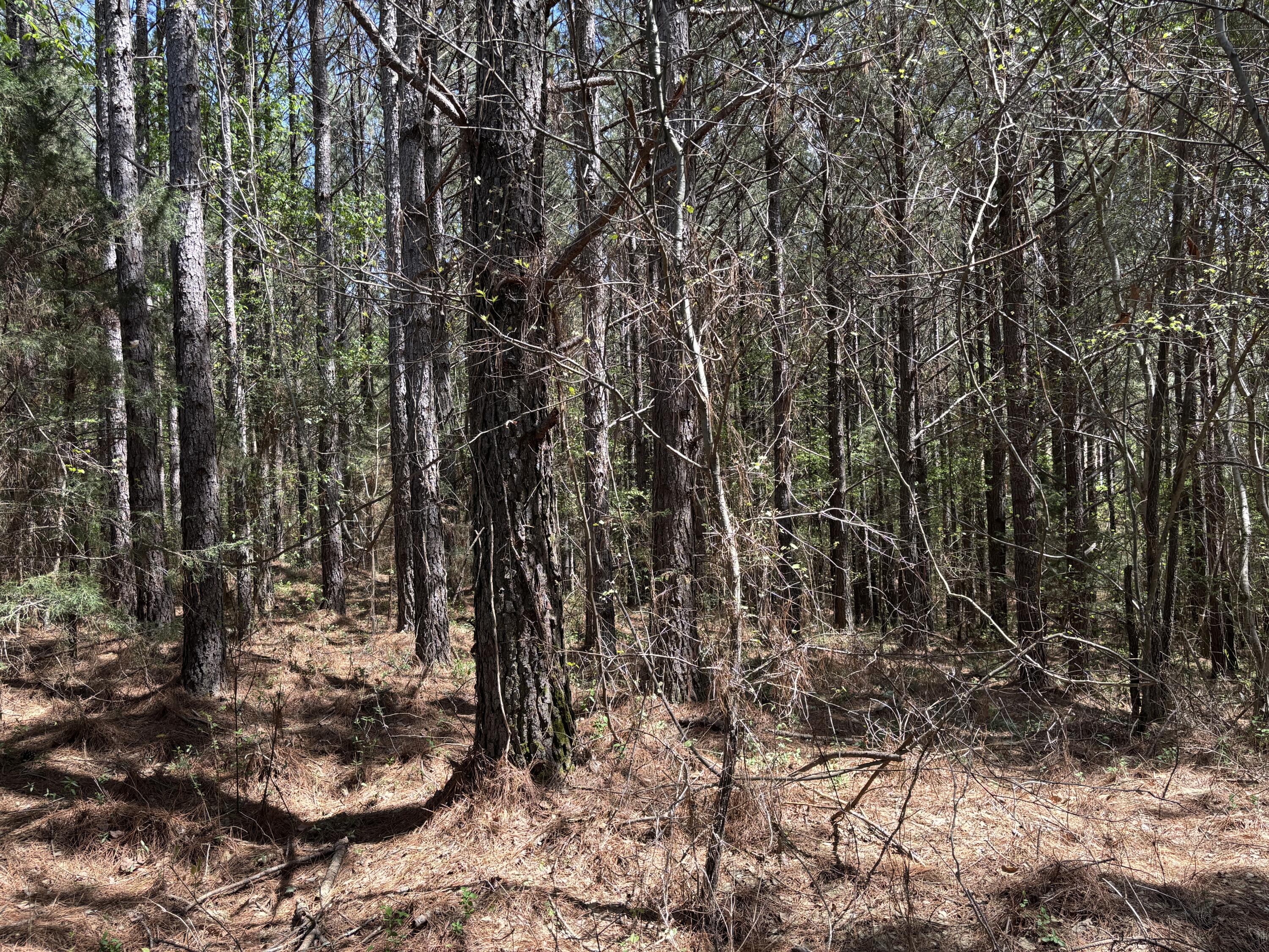 333 Mountain View Circle Ocoee, TN 37361 - Photo 3 of 3 IMG_3675