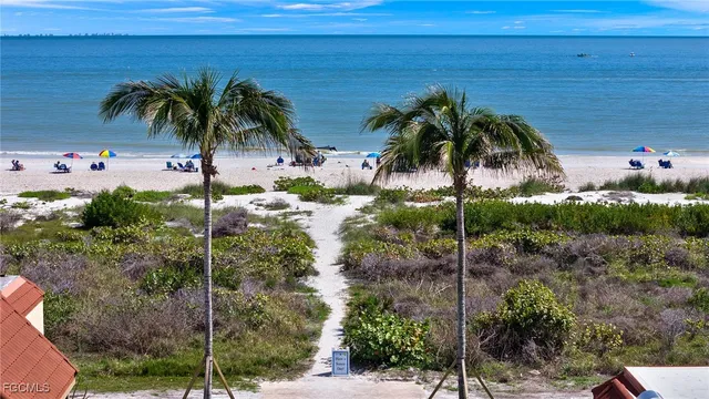 a view of a palm trees