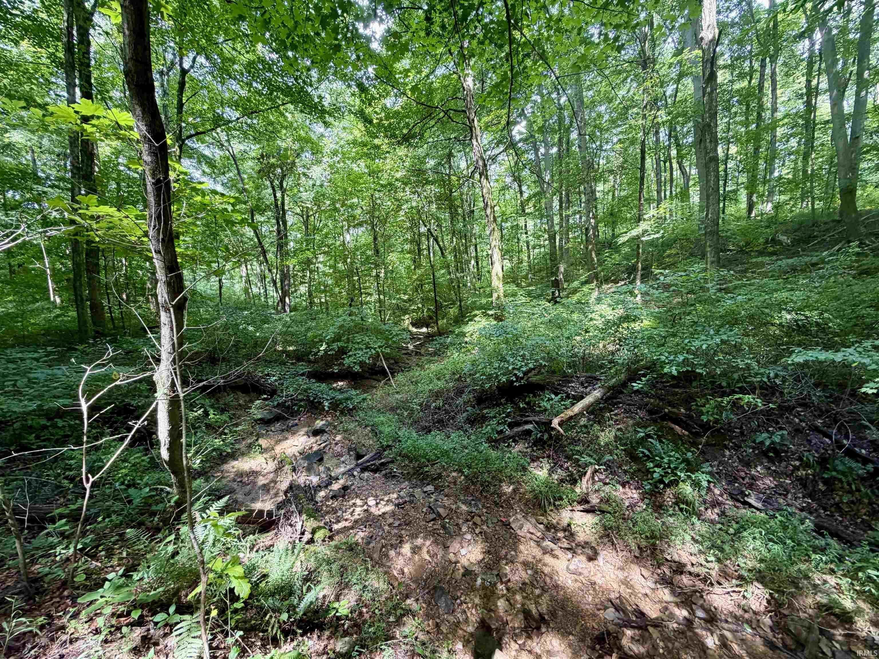 Off Candlestick Road Bristow, IN 47515 - Photo 26 of 30
