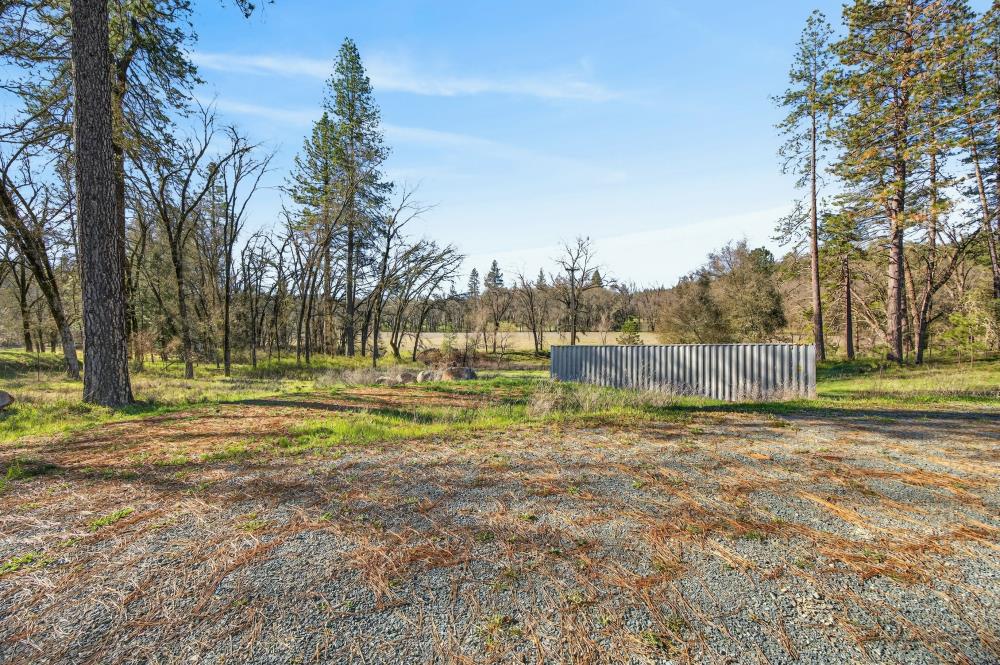 3150 Bridgeport School Road Fiddletown, CA 95629 - Photo 16 of 48 a view of a yard with palm trees