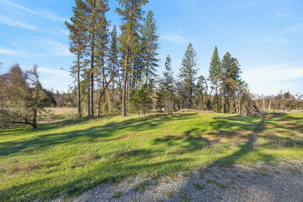 3150 Bridgeport School Road Fiddletown, CA 95629 - Photo 17 of 48 a view of a park with large trees