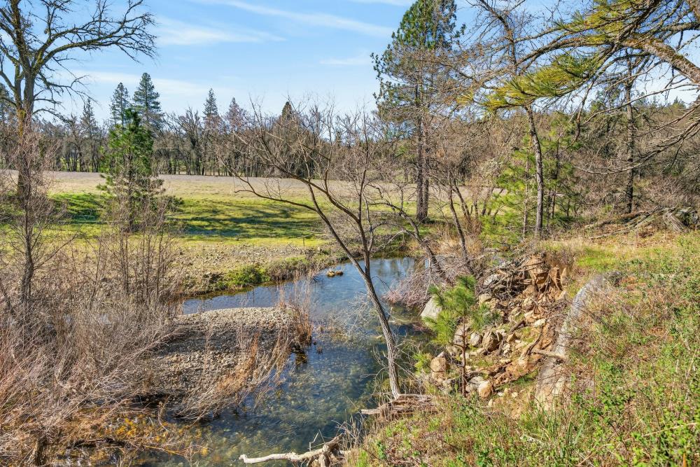 3150 Bridgeport School Road Fiddletown, CA 95629 - Photo 20 of 48 a view of a yard with an trees