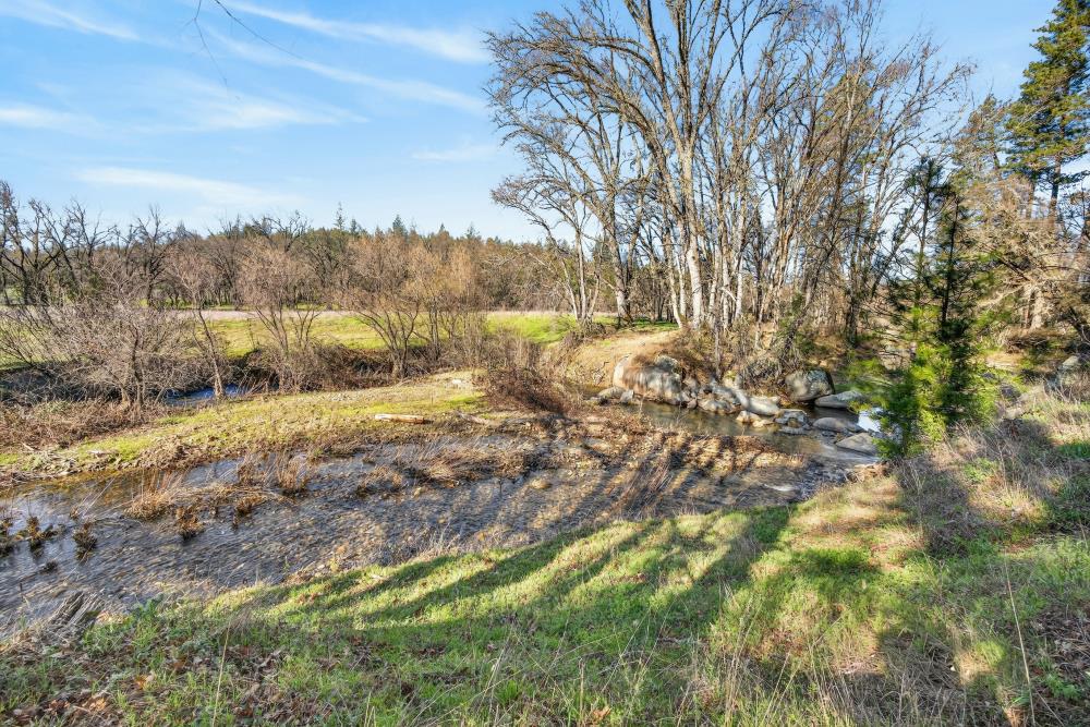3150 Bridgeport School Road Fiddletown, CA 95629 - Photo 22 of 48 a view of a yard with a tree