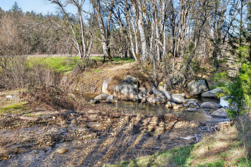 3150 Bridgeport School Road Fiddletown, CA 95629 - Photo 23 of 48 a view of a yard with a tree