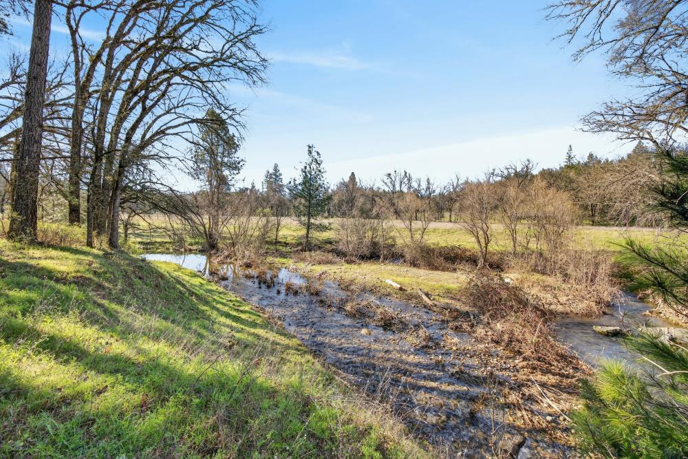 3150 Bridgeport School Road Fiddletown, CA 95629 - Photo 25 of 48 a view of a yard with a tree