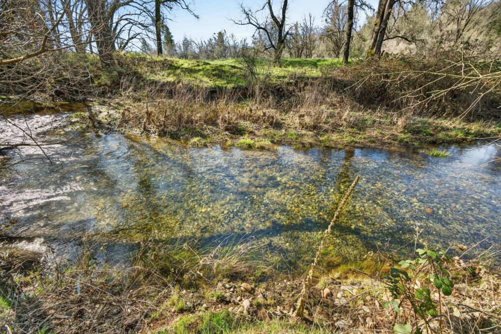 3150 Bridgeport School Road Fiddletown, CA 95629 - Photo 30 of 48 a view of a yard with a tree